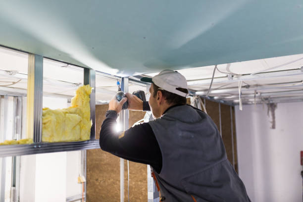 Best Cellulose Insulation in Cortez, FL