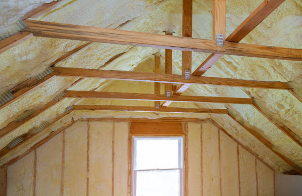 Best Spray Foam Insulation in Cortez, FL