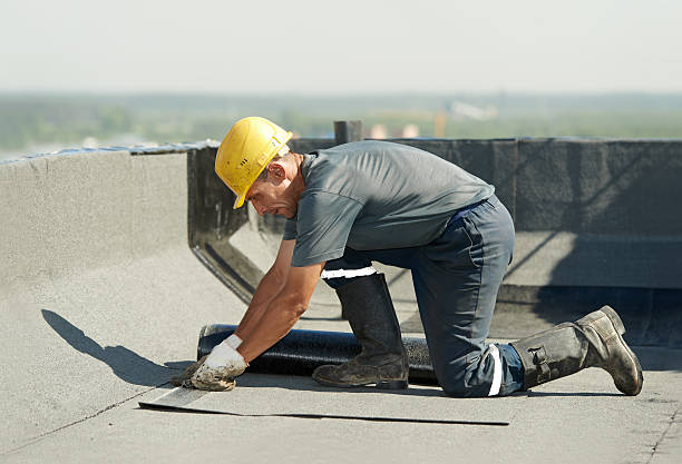 Best Residential Insulation in Cortez, FL